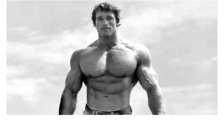 狗仔队起源_狗仔怎么扒出明星出道前的黑料,_Paparazzi为什么叫狗仔队